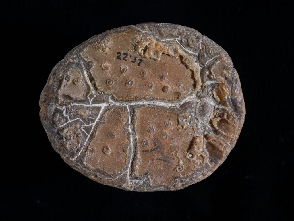 a rock with a lot of holes in it